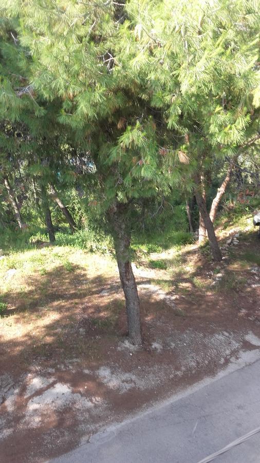 Villa Mateja Donji Okrug  Eksteriør bilde